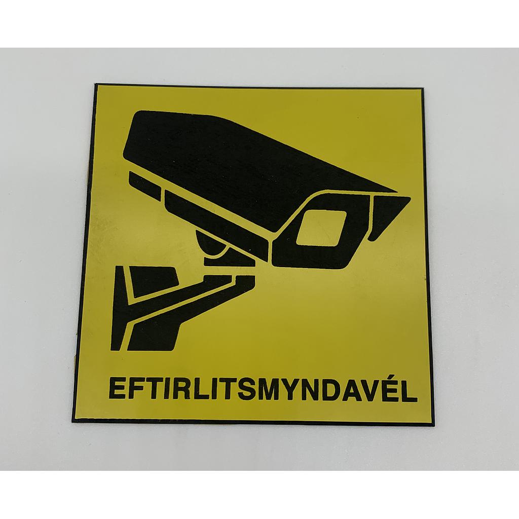 EFTIRLITSMYNDAVÉL - 25x25cm